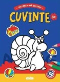 Cumpara ieftin Cuvinte. Contine 12 autocolante. 3 ani+/***