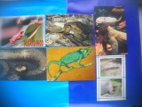 HOPCT LOT NR 425 REPTILE -FAUNA -6 CARTI POSTALE-NECIRCULATE