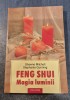 Feng Shui magia luminii Shawne Mitchell