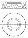 Mahle Piston