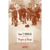 Negru si Rosu - Ioan T. Morar