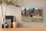 Tablou Canvas Natură Bulldog &icirc;n pădure deasă Primăvară Energie, 39 x 26 cm, CMCLASS