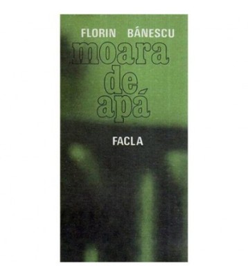 Florin Banescu - Moara de apa - 118080 foto