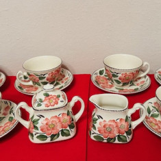 SET DE 14 PIESE PENTRU CAFEA- PORTELAN ENGLEZESC WOOD&SONS- "IRISH ROSE"