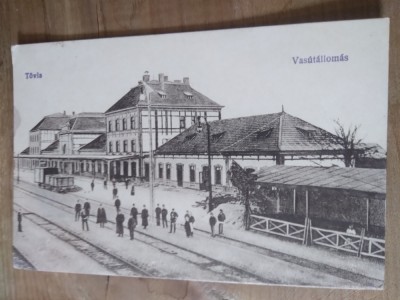 Ilustrata Tovia foto