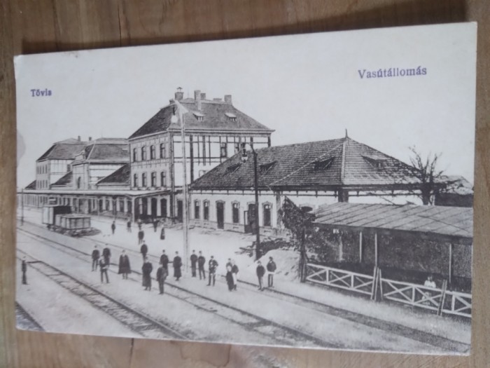 Ilustrata Tovia