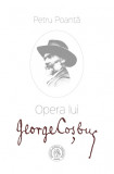 Cumpara ieftin Opera lui George Cosbuc, Petru Poanta