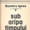 Sub aripa timpului - Dumitru Ignea