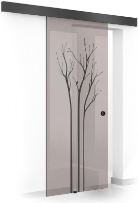 Usa culisanta Boss &amp;reg; Black, model Peace negru, 60x215 cm, sticla 8 mm bronz securizata, glisanta in ambele directii foto