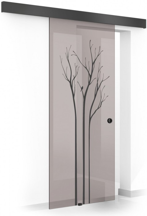 Usa culisanta Boss &reg; Black, model Peace negru, 60x215 cm, sticla 8 mm bronz securizata, glisanta in ambele directii
