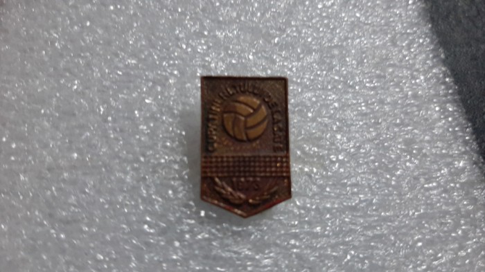 Insigna Cupa tineretului de la sate