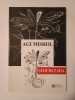 Agi Mishol - Șeherezada (cu ilustrații de Devis Grebu; ICR, 2008)