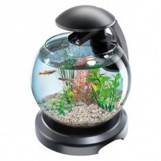 Acvariu pentru pesti Betta sau Goldfish - sferic 6.8 L foto