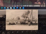 Salutări din Romania, Cioban cu oile, la puț, Civilizație populară, 1901, 205