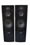 Boxe Canton SL 900
