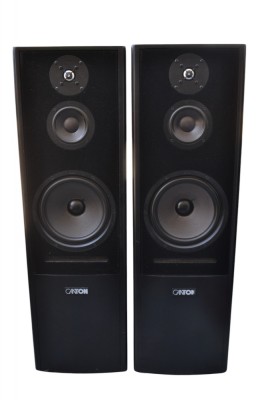 Boxe Canton SL 900 foto