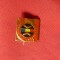 Insigna Campionatele Universitare ,h=1,4cm , metal si email