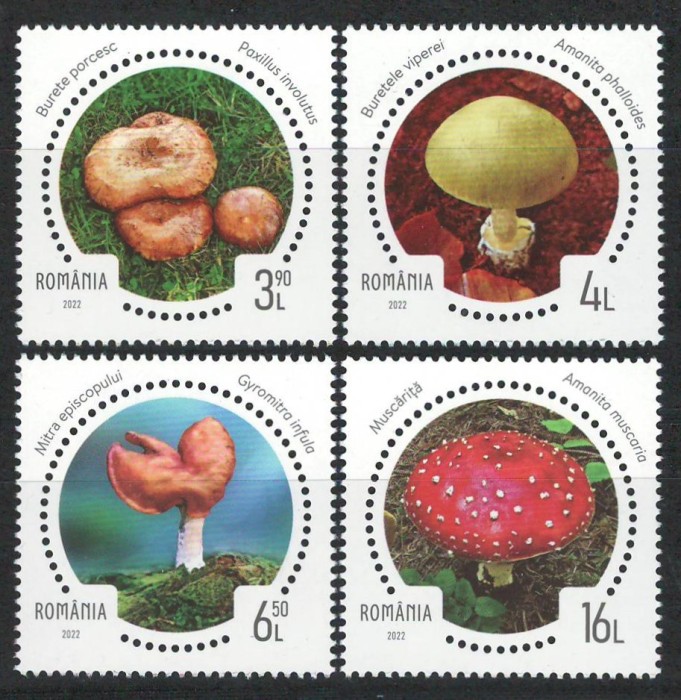 Romania 2022 Mi 8028/31 MNH - Ciuperci necomestibile