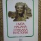 LIMBA ITALIANA LITERARA IN ISTORIE de FRANCESCO BRUNI , 2006