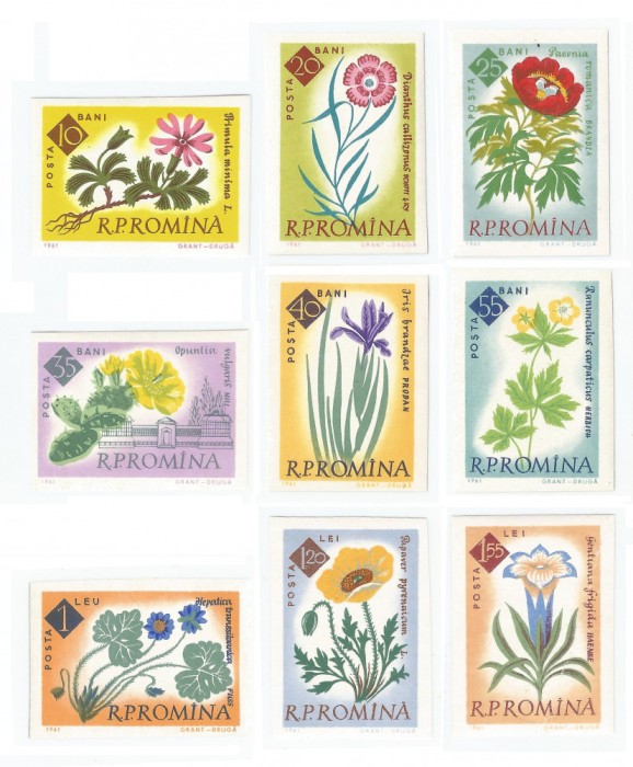 Romania, LP 524a/1961, Centenarul Gradinii Botanice din Bucuresti (nedant.), MNH