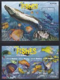 Maldive 2015 - Viața marină - Pești din Maldive, Bloc + Colita, F.RARE, MNH (vezi descrierea)