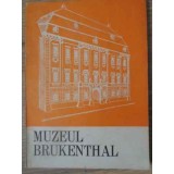 MUZEUL BRUKENTHAL. MIC GHID PRIN MUZEU-COLECTIV-116558