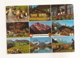 FA163 - Carte Postala - ELVETIA - Elvetia, circulata 1974