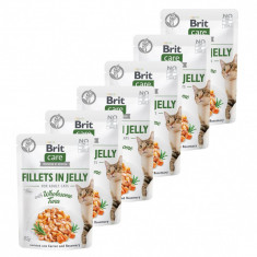 Brit Care Cat Fillets in Jelly Wholesome Tuna 6 x 85 g foto
