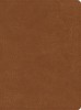 CSB He Reads Truth Bible, Saddle Leathertouch, Indexed