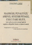 Majorari, penalizari, sesizari penale, executare silita