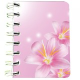 Cumpara ieftin Carnet cu spira Brandusa roz, 7 x 10 cm, 75 foi veline