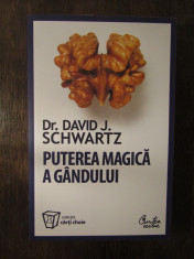 PUTEREA MAGICA A GANDULUI - DAVID J. SCWART foto