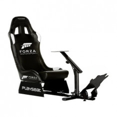 Playseat Forza Motorsport foto