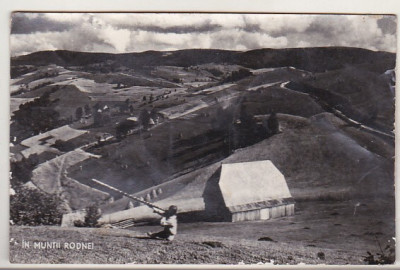 bnk cp In Muntii Rodnei - Vedere - uzata foto