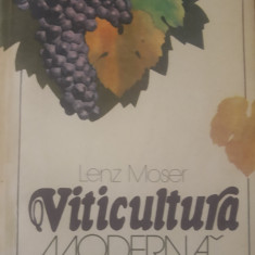 VITICULTURA MODERNA - LENZ MOSER, 1980