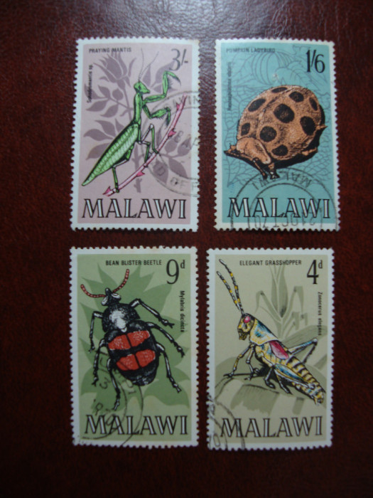 MALAWI SERIE INSECTE