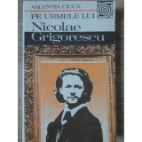 PE URMELE LUI NICOLAE GRIGORESCU-VALENTIN CIUCA-161534