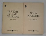 J D Salinger De veghe in lanul de secara / Noua povestiri