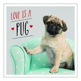 Love is a Pug: A Pugtastic Celebration of the World&#039;s Cutest