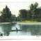 4897 - BUCURESTI, Lake &amp; Cismigiu Park, Romania - old postcard - unused