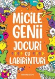 Micile genii: Jocuri cu labirinturi - Paperback brosat - Gareth Moore - Paralela 45