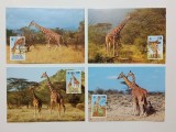 Kenya 1989 - girafe, serie CarteMaxima
