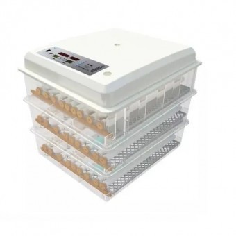 Incubator automat MS-176, capacitate 176 oua de gaina foto