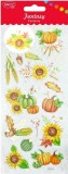 Set stickers - Fantezia - Camp Toamna | Daco