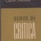 Schite de critica