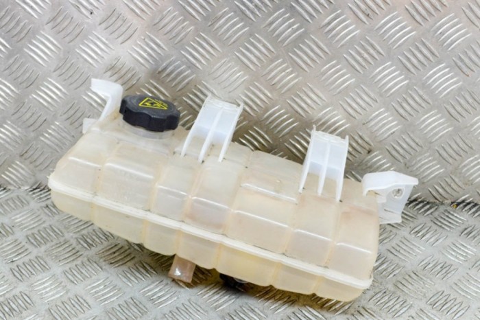 Vas de expansiune TESLA MODEL S 2017 OEM: 1036124-00-D 14336895