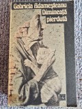 DIMINEATA PIERDUTA - GABRIELA ADAMESTEANU, 1982, 452 pagini, stare buna