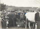 A3243N General Traian Moșoiu, ministrul Alexandru C Constantinescu, Traian Trufașiu la Rom&acirc;nași, Sălaj, la 23 septembrie 1922