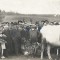 A3243N General Traian Moșoiu, ministrul Alexandru C Constantinescu, Traian Trufașiu la Rom&acirc;nași, Sălaj, la 23 septembrie 1922