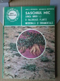 Ion Roventa - Saschiul mic, o valoroasa planta medicinala si ornamentala